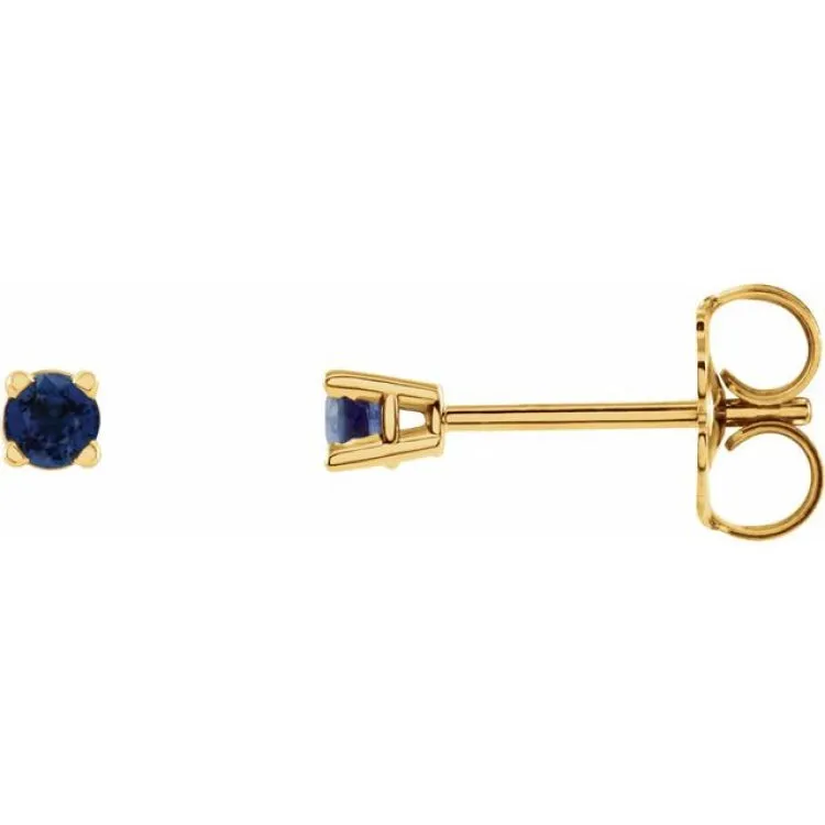 14K Yellow 2.5 mm Natural Blue Sapphire Stud Earrings