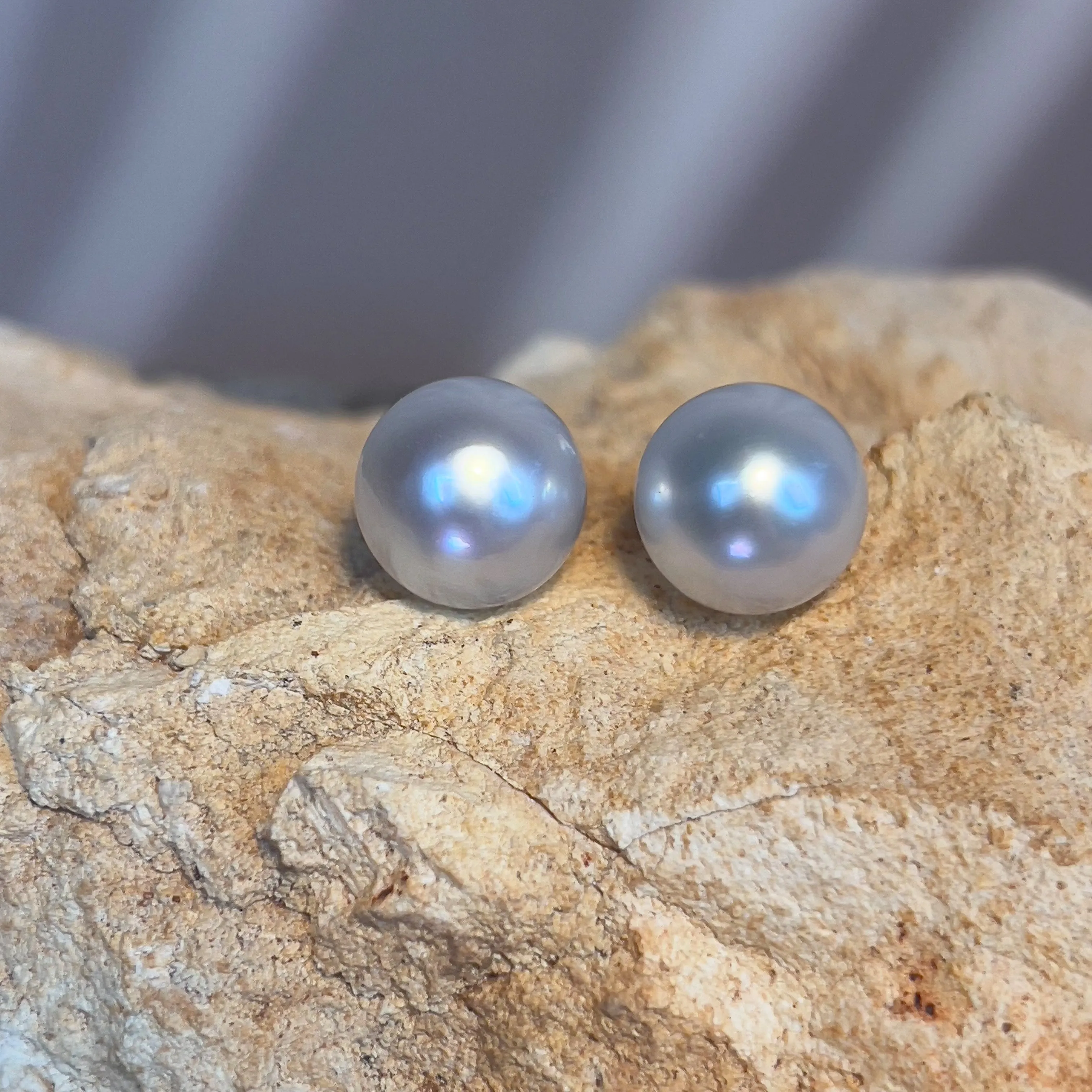 18kt White Gold South Sea 12mm studs