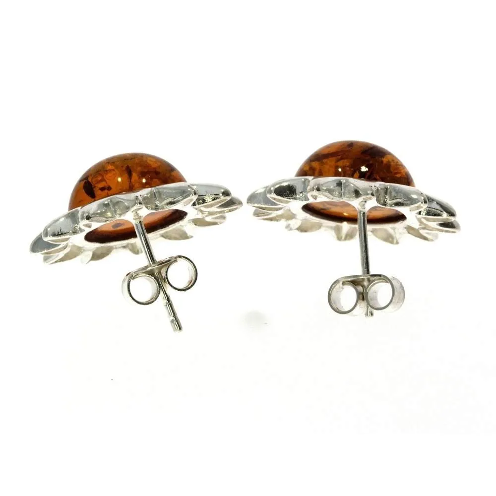 925 Sterling Silver & Genuine Baltic Amber Classic Suns Studs Earrings - 5205