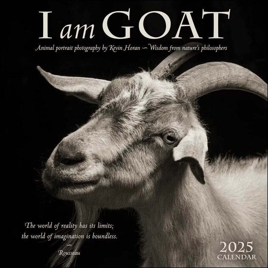 Amber Lotus I Am Goat 12x12 2025 Wall Calendar