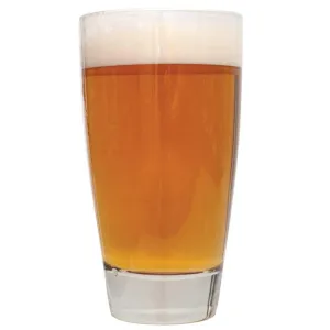 American Amber Ale Beer Recipe Kit