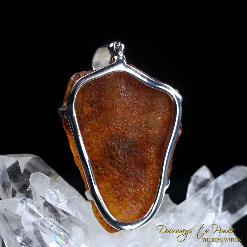 Colombian Amber Dragon Carving Pendant 'Universal Manifestation'