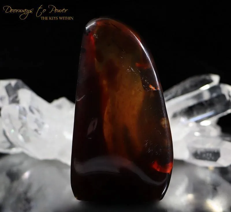 Sumatra Blue Amber 'Wonderful Organic Gem'