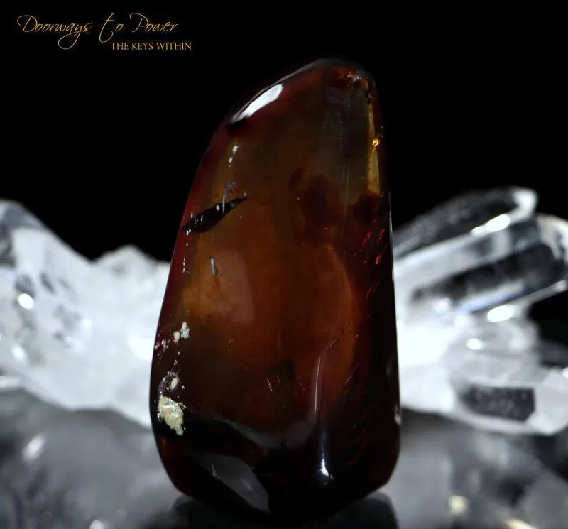 Sumatra Blue Amber 'Wonderful Organic Gem'